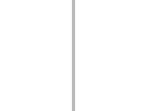 Footer Line